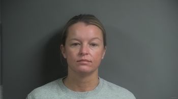 Bridget Suzanne Johnson Mugshot