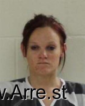 Bridget Lynette Stitt Mugshot