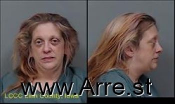 Carol Lynn Stull Mugshot