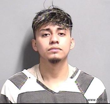 Cesar Alfredo Vicente Magana Mugshot