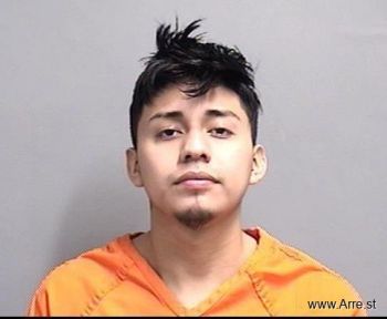 Cesar Alfredo Vicente Magana Mugshot