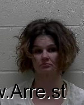 Christina Nicole Cook Mugshot