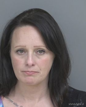 Cynthia Lee Hawkins Mugshot