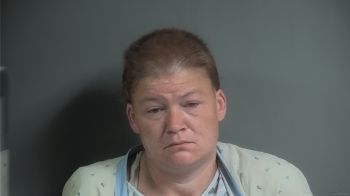 Debra Lynn Johnson Mugshot