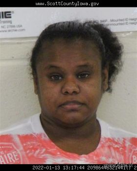 Denise Meshell Cook Mugshot