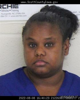 Denise Meshell Cook Mugshot