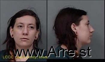 Desiree Renee Ann Johnson Mugshot