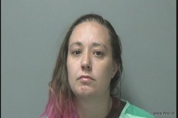 Elizabeth Joan Williams Mugshot