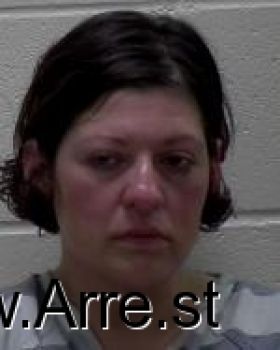 Erica Marie Anderson Mugshot