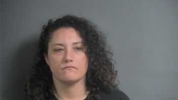 Erica Ann Mitas Mugshot