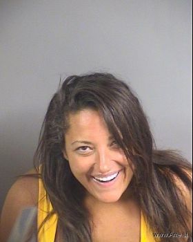 Erica Ann Mitas Mugshot