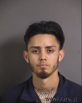 Fernando Rosales Castaneda Mugshot