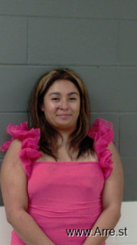 Gabriela  Chavez Mugshot