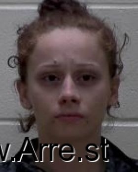 Hallie Ann Davidson Mugshot