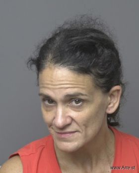 Heather Christina Osterkamp Mugshot