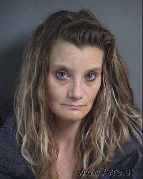 Heather Ann Snyder Mugshot