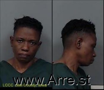 Irene Korpo Johnson Mugshot