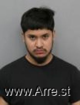 Jesus Ernesto Flores Silva Mugshot