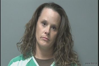 Julie Ann Agee Mugshot