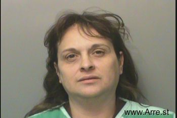 Julie Ann Johnson Mugshot