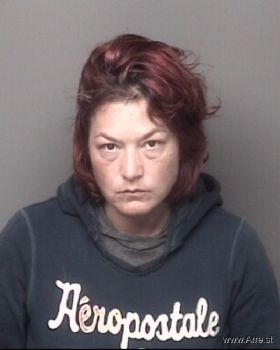 Jamie Lynn Becker Mugshot