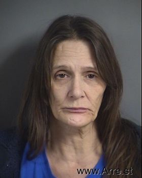 Jill Ann Bushman Mugshot