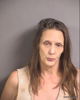 Jill Ann Bushman Mugshot