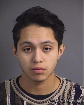 Jose Nicolas Jr. Ordaz Pulido Mugshot