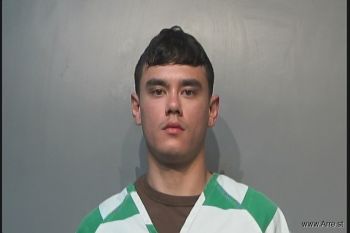 Logan Christopher Baccam Mugshot