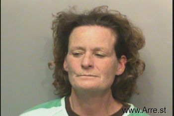 Lori Lynn Johnson Mugshot