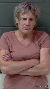 Lisa Ann Stevenson Mugshot