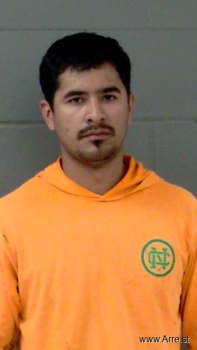 Luis Antonio Ramirez Mitre Mugshot