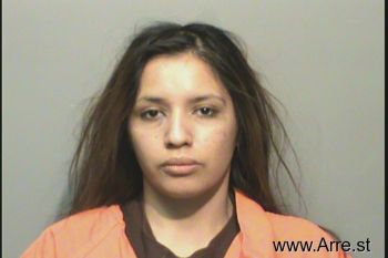 Maria Victoria Sanchez-villegas Mugshot