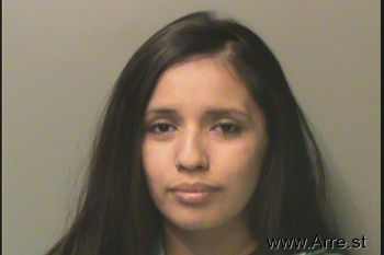 Maria Victoria Sanchez Villegas Mugshot