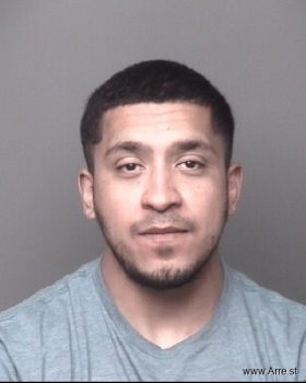 Mario Alberto Gonzalez Mugshot