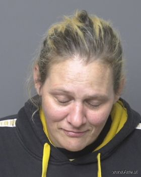 Melissa Ann Hollis Mugshot