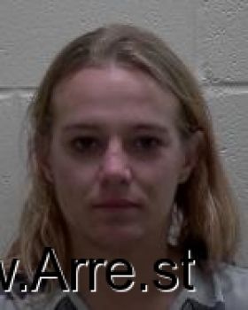 Michelle Kari Miller Mugshot