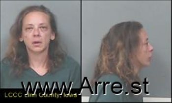 Michelle Rae Simmermaker Mugshot