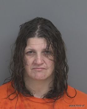 Nicole Lynn Fitzgerald Mugshot