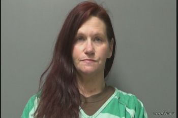 Paula Susan Draper Mugshot