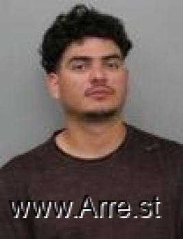 Raul Adrian Delgado Mugshot