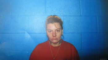 Rebecca Lynn Richardson Mugshot