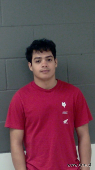 Ricardo Daniel Sanchez-garcia Mugshot