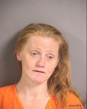 Robin Lee Willis Mugshot