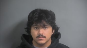 Rudy Gilbert Herrera Mugshot