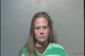 Sarah Brooke Johnson Mugshot