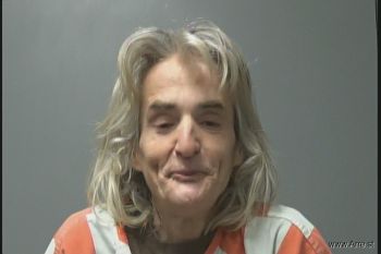 Sedija  Ibradzic Mugshot