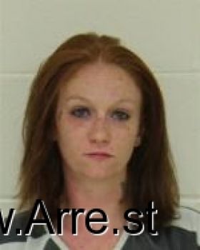 Sarah Jean Cook Mugshot