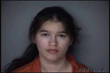 Sarah Ann Johnson Mugshot