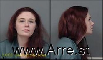 Tara Michelle Hansen Mugshot